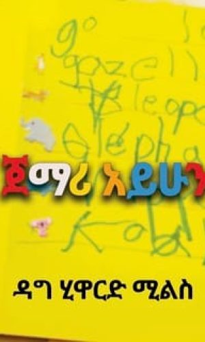 95 AMH NOVICE - Dag Heward-Mills